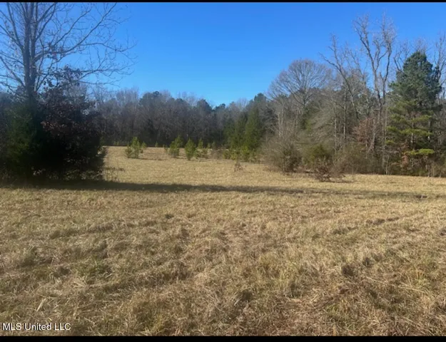 $239,000 | 170 Camden Road, Camden, MS 39045