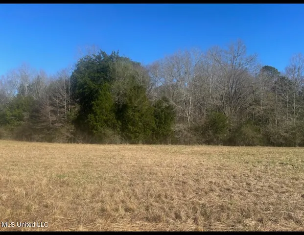 $239,000 | 170 Camden Road, Camden, MS 39045