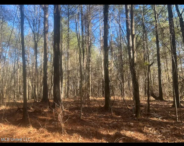 $239,000 | 170 Camden Road, Camden, MS 39045