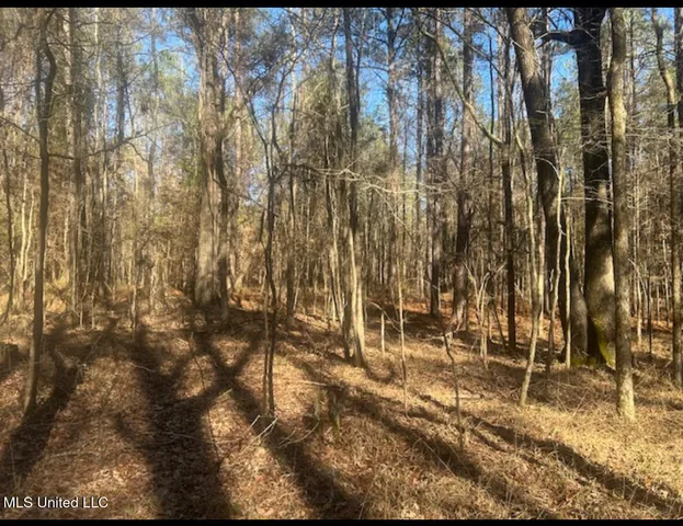 $239,000 | 170 Camden Road, Camden, MS 39045