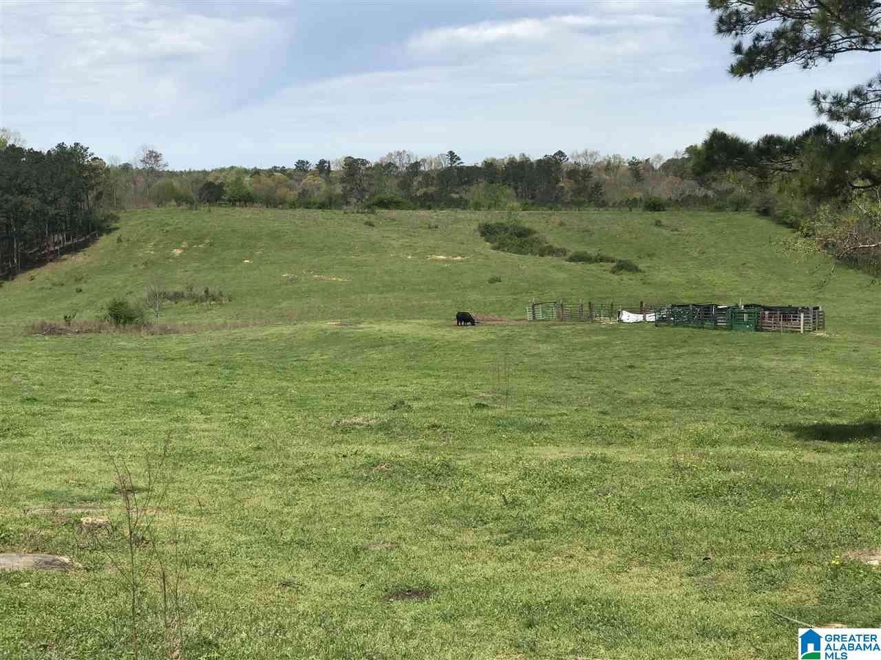 1241 Reneau Road Oneonta, AL 35121 - Photo 7 of 50