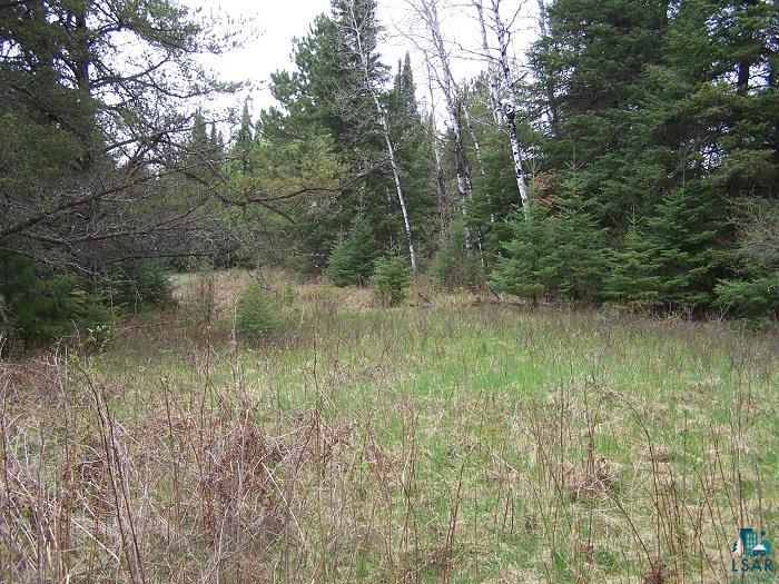 Tbd Lost Lake Road Gilbert, MN 55741 - Photo 2 of 7