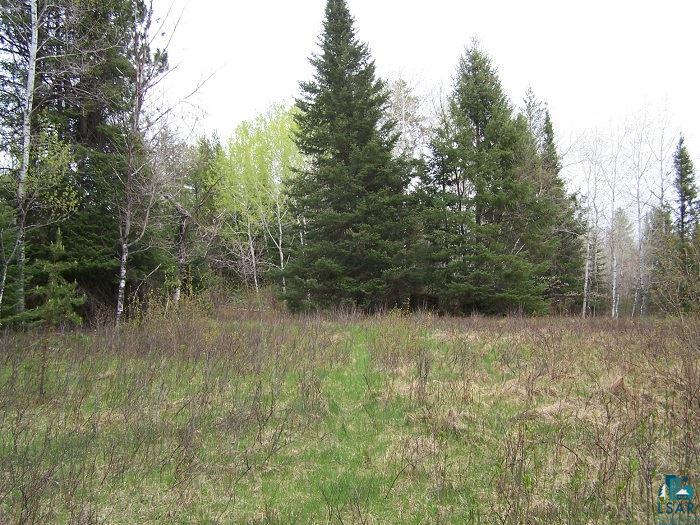 Tbd Lost Lake Road Gilbert, MN 55741 - Photo 3 of 7