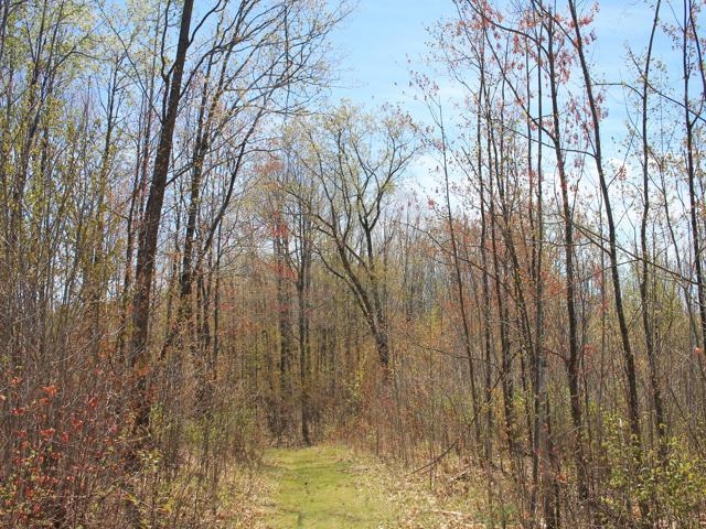 19081 Erickson Drive Dunbar, WI 54119 - Photo 31 of 87