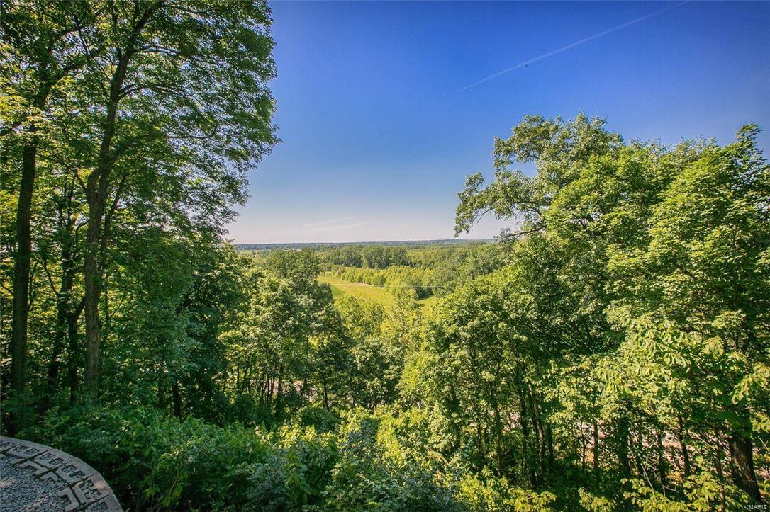 143 Ridgecrest Drive Chesterfield, MO 63017 - Photo 4 of 48 Gallery Image 4