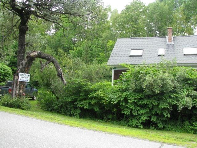 225 East Madrid Road Phillips, ME 04966 - Photo 2 of 16 Photo