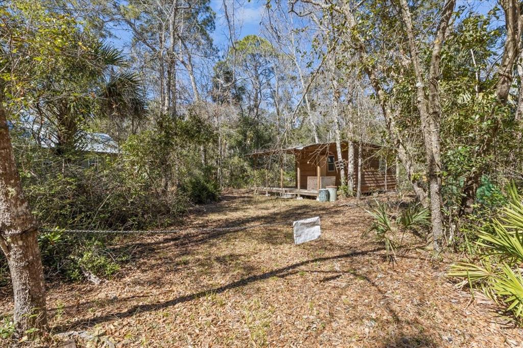 86 Southwest Turtle Pass Road Chiefland, FL 32626 - Photo 13 of 37 a view of a yard with plants and trees