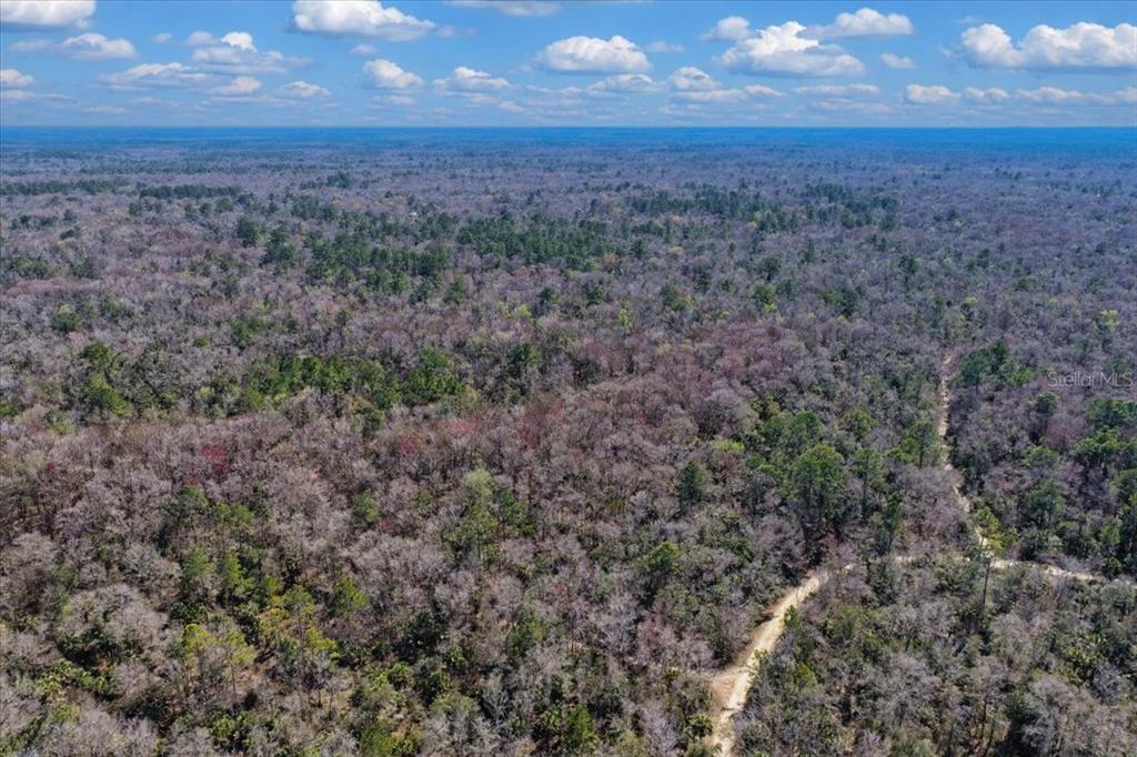 86 Southwest Turtle Pass Road Chiefland, FL 32626 - Photo 25 of 37 a view of a field