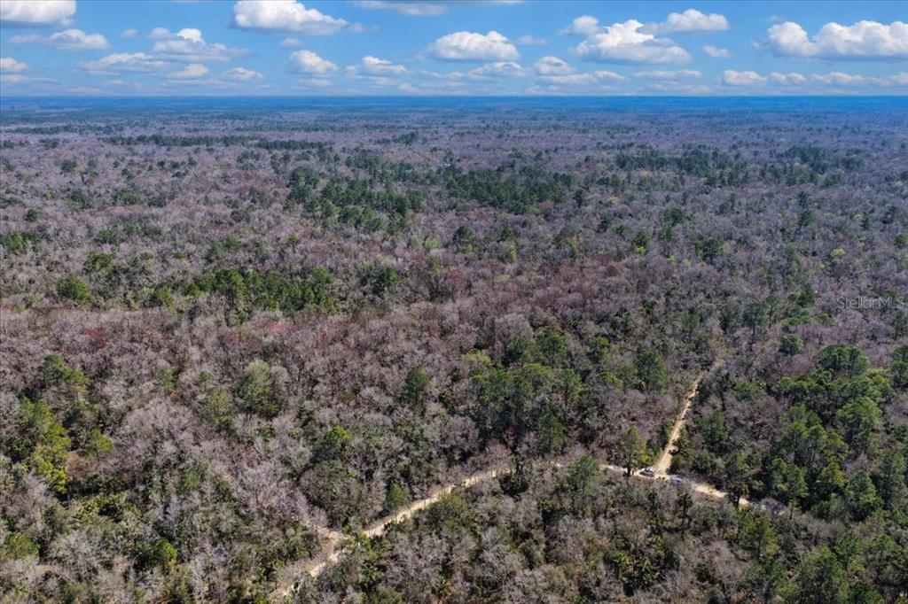 86 Southwest Turtle Pass Road Chiefland, FL 32626 - Photo 26 of 37 a view of a yard next to a yard