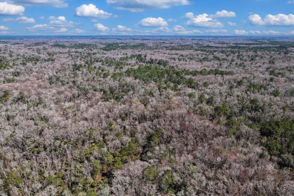 86 Southwest Turtle Pass Road Chiefland, FL 32626 - Photo 27 of 37 a view of a room next to a yard