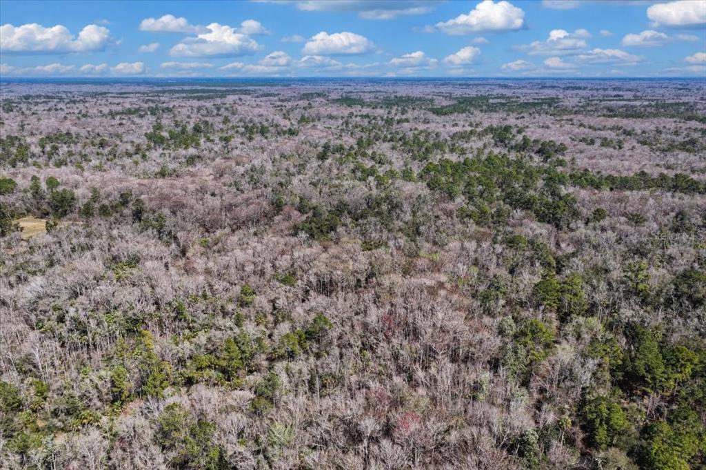 86 Southwest Turtle Pass Road Chiefland, FL 32626 - Photo 28 of 37 a view of a yard next to a yard