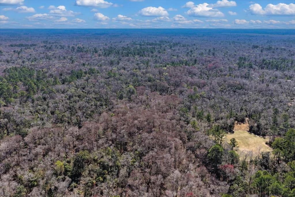 86 Southwest Turtle Pass Road Chiefland, FL 32626 - Photo 29 of 37 a view of a yard