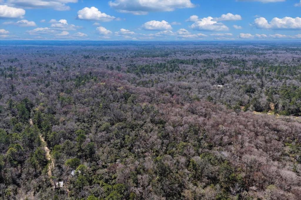 86 Southwest Turtle Pass Road Chiefland, FL 32626 - Photo 30 of 37 a view of a yard next to a yard
