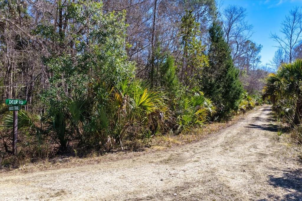 86 Southwest Turtle Pass Road Chiefland, FL 32626 - Photo 33 of 37 a view of a yard with plants and trees