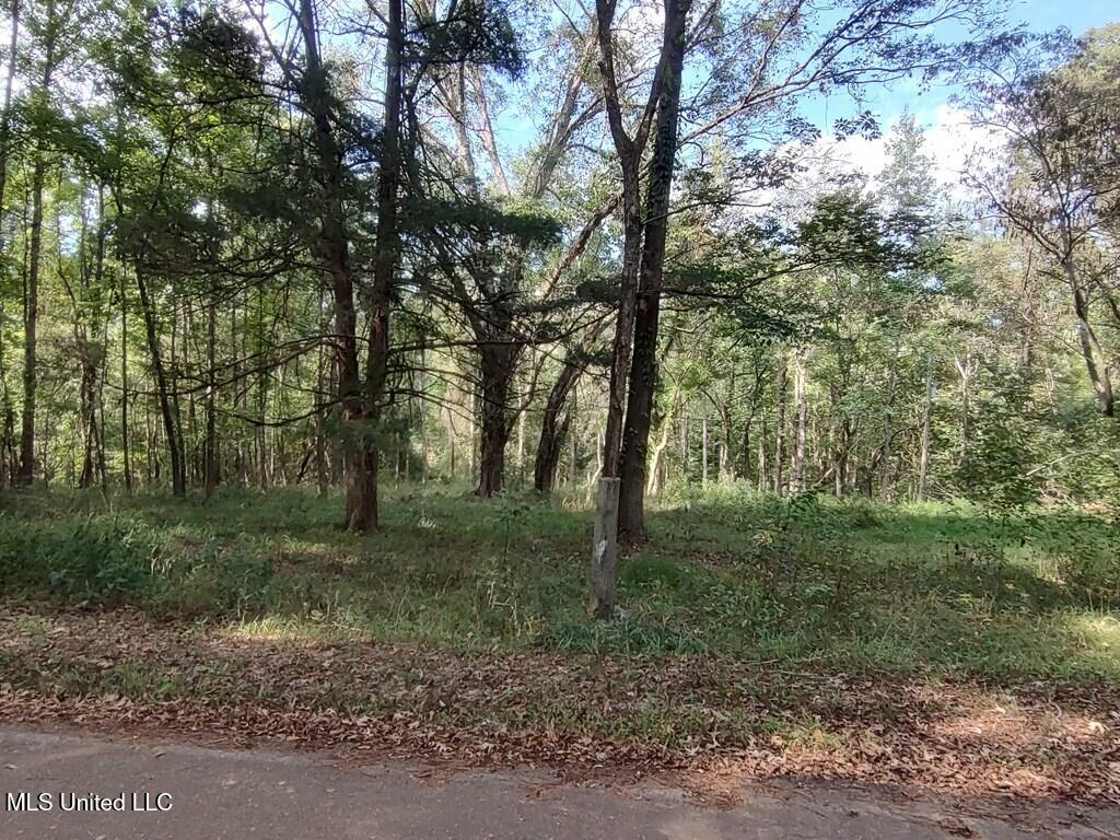 Wickliffe Road Natchez, MS 39120 - Photo 4 of 6 20242603_3