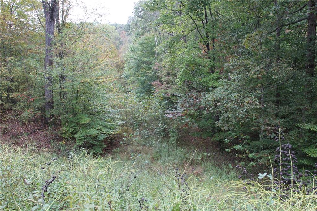 2670 Lawson Ridge Road Nashville, IN 47448 - Photo 42 of 48 Gallery Image 42