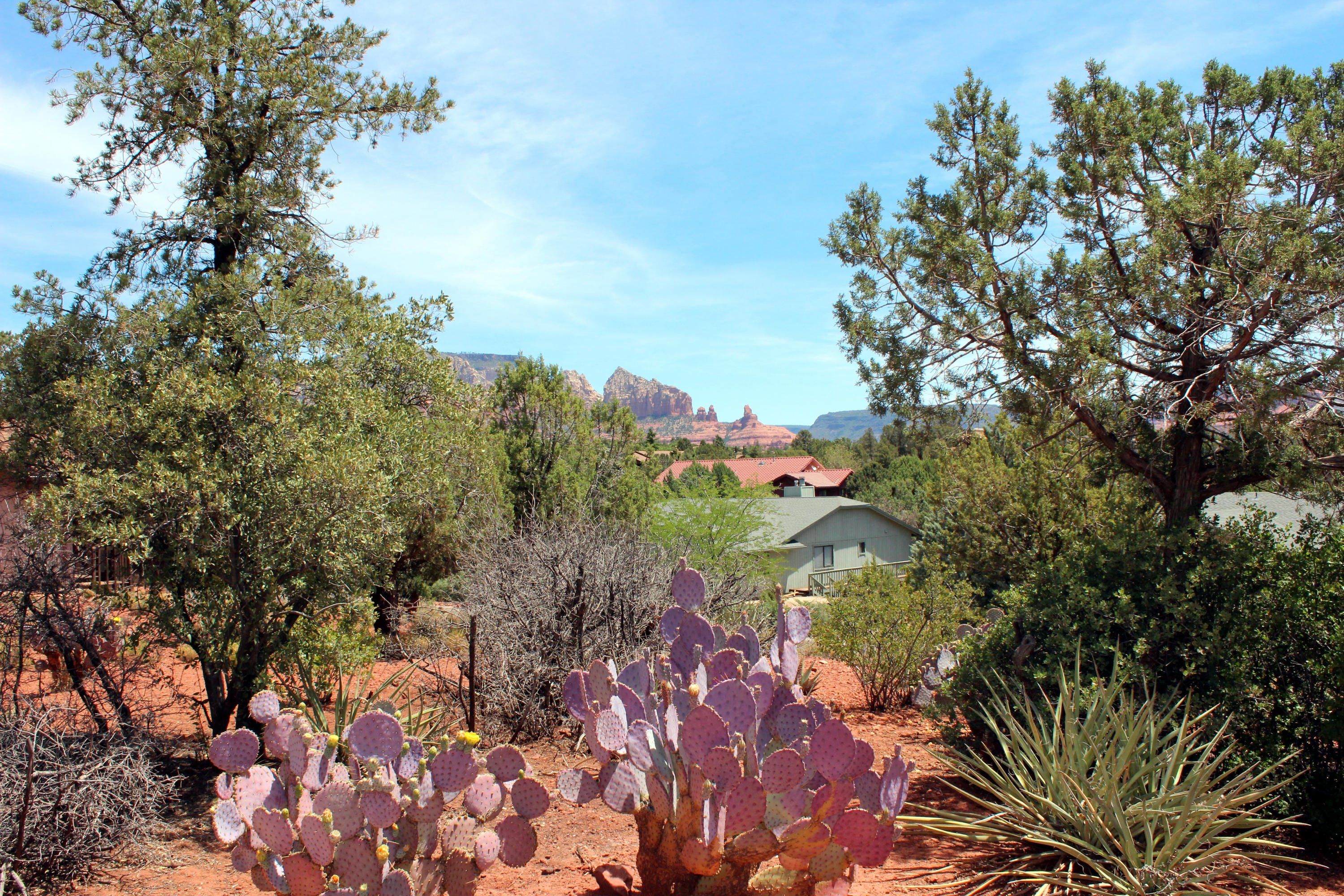 225 Ross Road Sedona, AZ 86336 - Photo 1 of 26 225 Ross Rd - Desert Vegetation