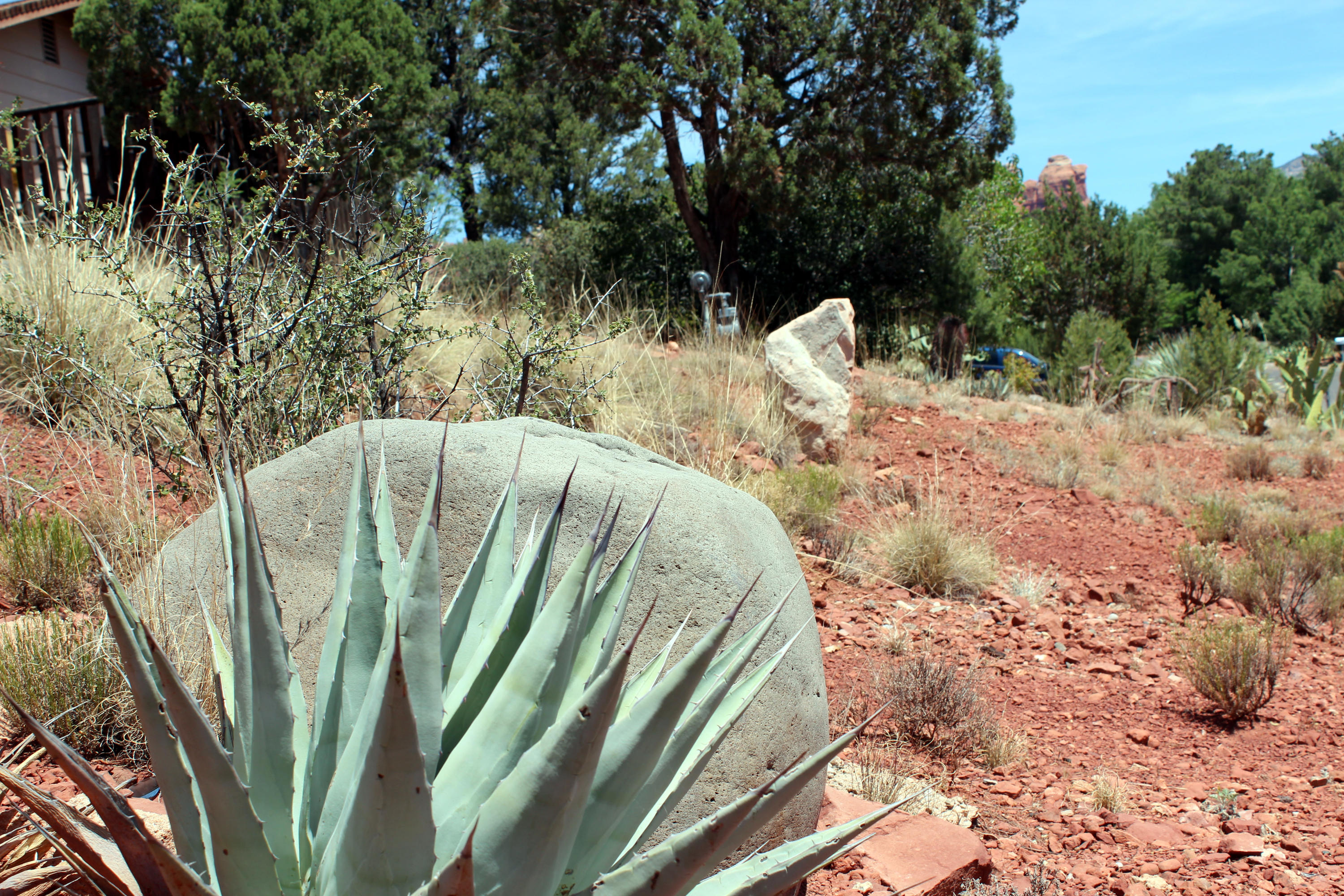 225 Ross Road Sedona, AZ 86336 - Photo 4 of 26 225 Ross Rd - Desert Vegetation