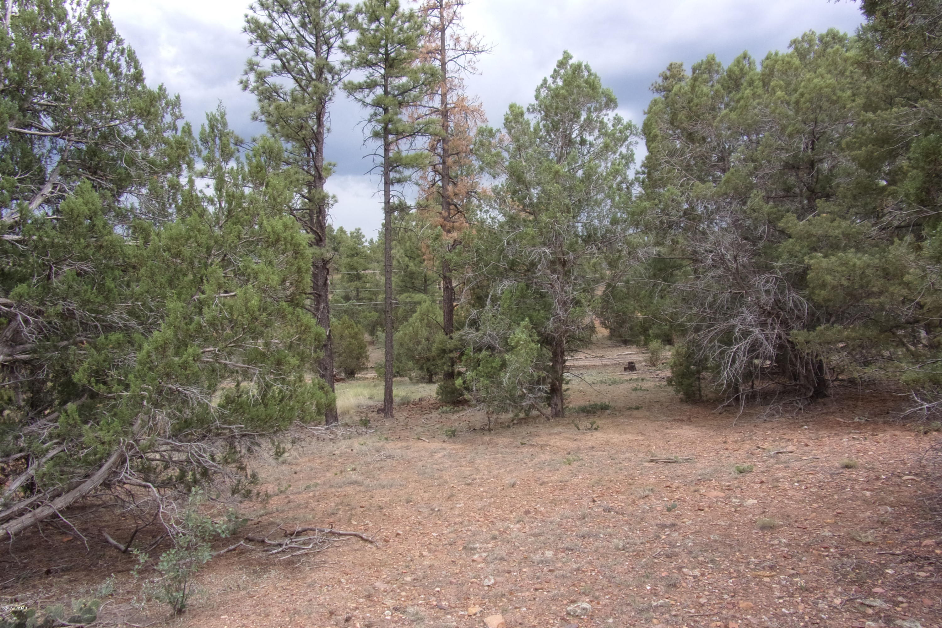 Tbd Tbd Elktrail Show Low, AZ 85901 - Photo 1 of 16