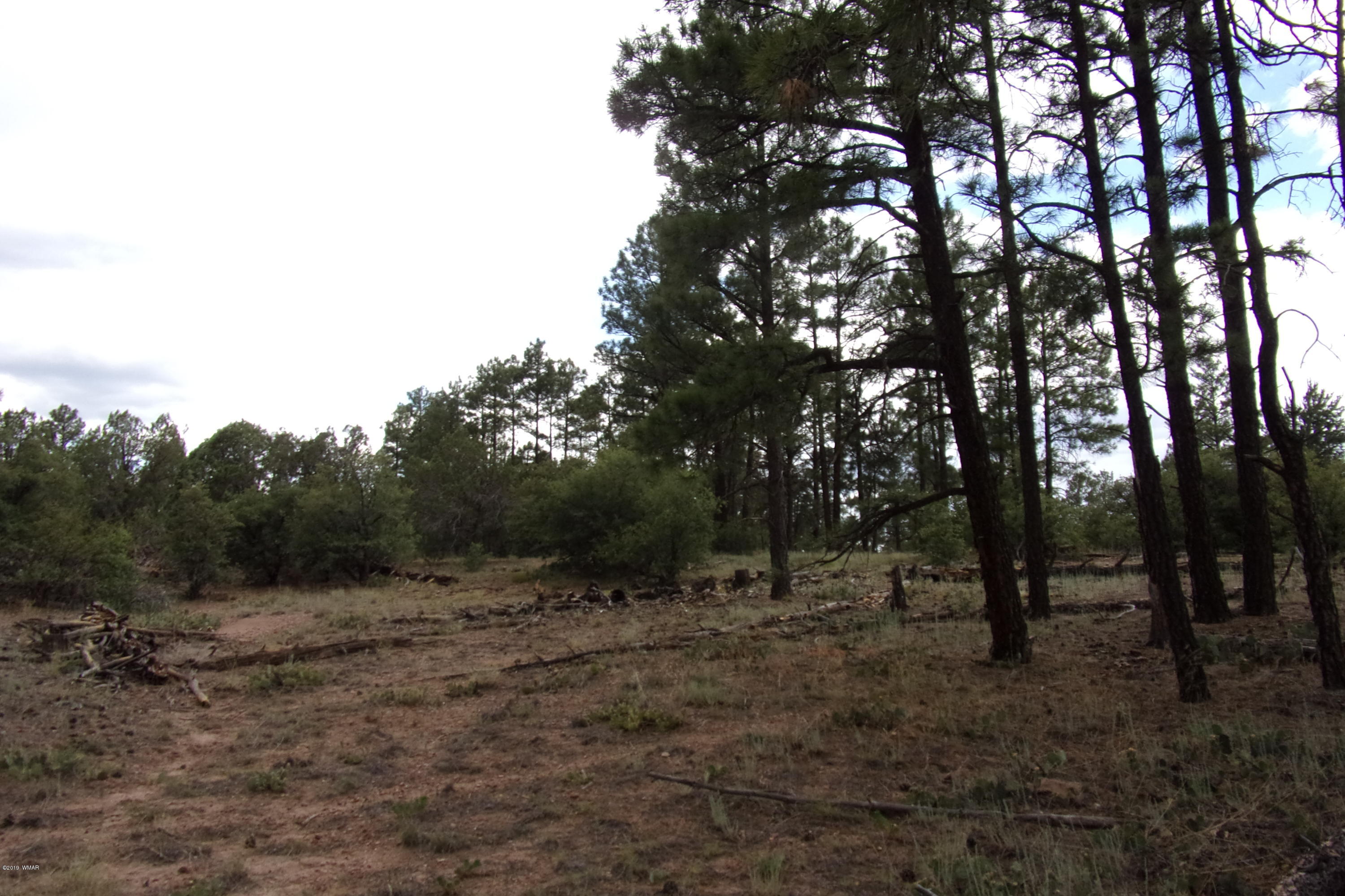 Tbd Tbd Elktrail Show Low, AZ 85901 - Photo 12 of 16