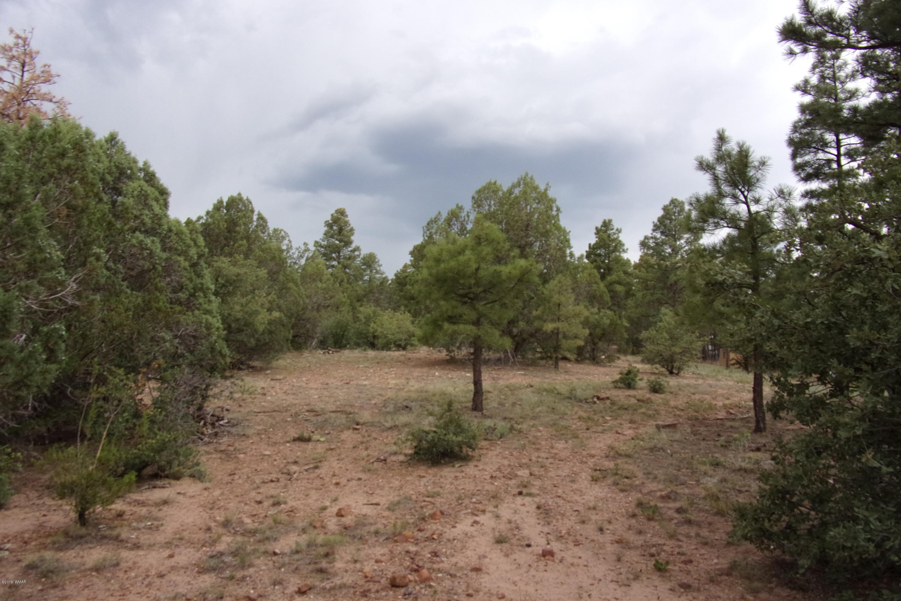 Tbd Tbd Elktrail Show Low, AZ 85901 - Photo 13 of 16