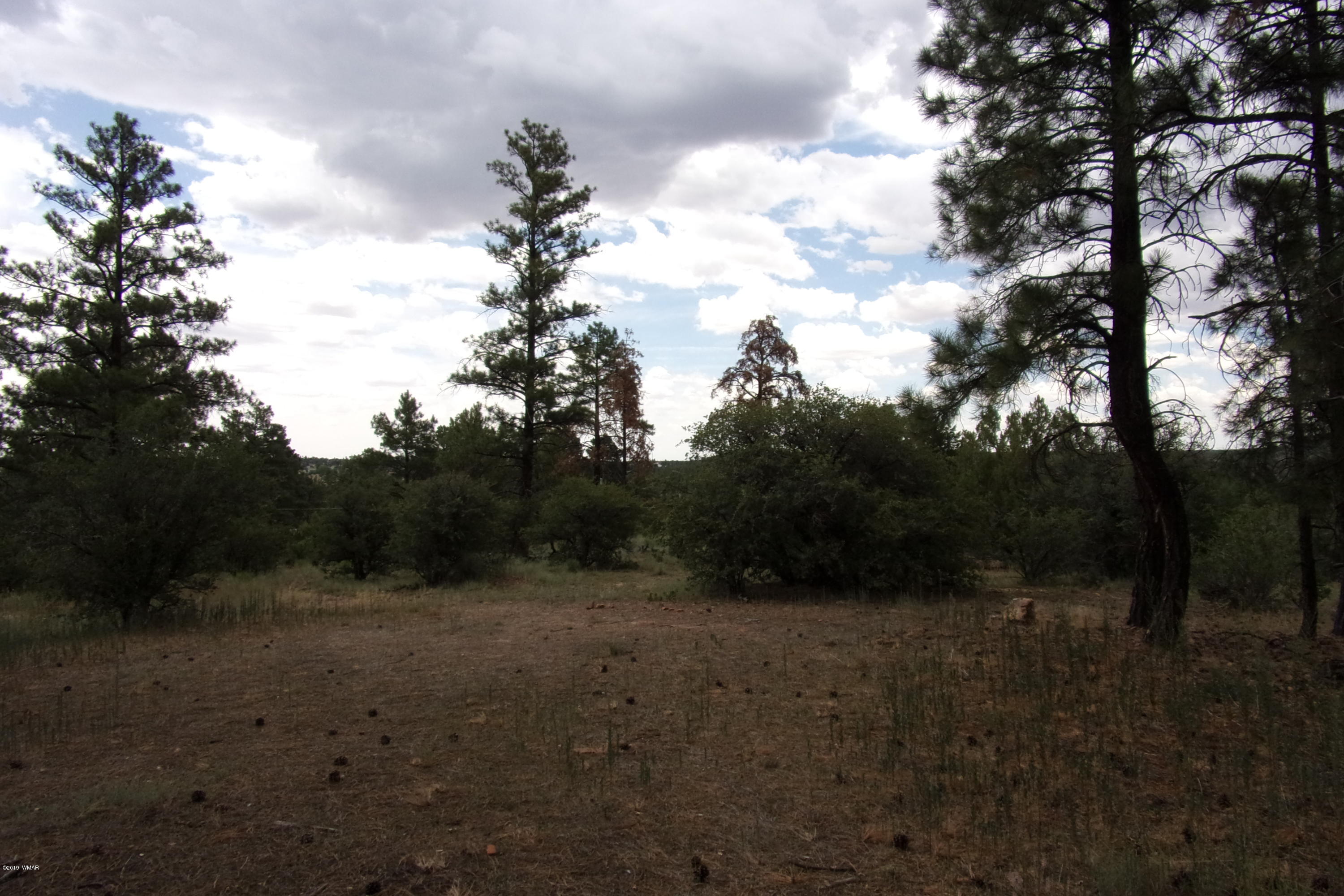 Tbd Tbd Elktrail Show Low, AZ 85901 - Photo 14 of 16
