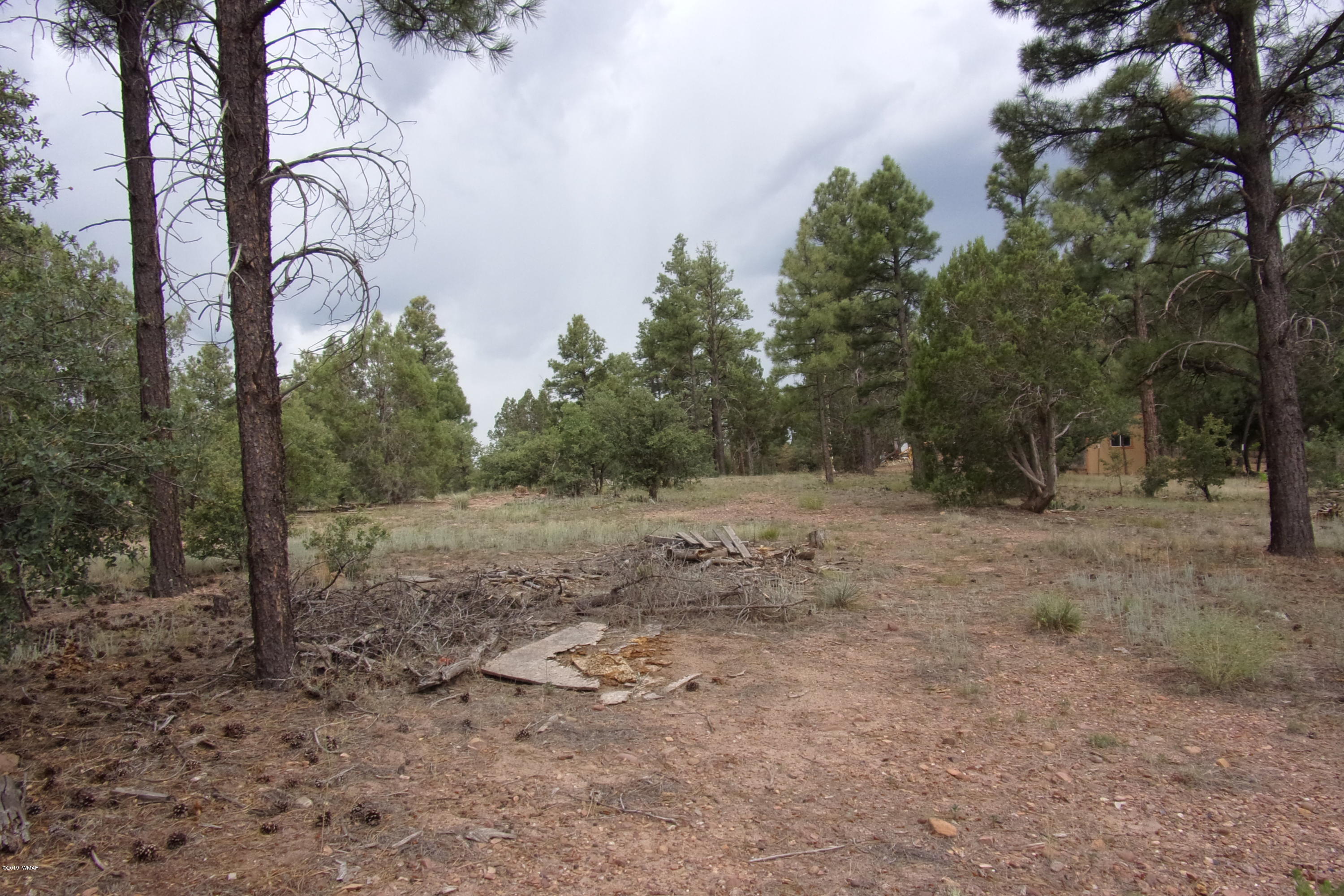 Tbd Tbd Elktrail Show Low, AZ 85901 - Photo 15 of 16