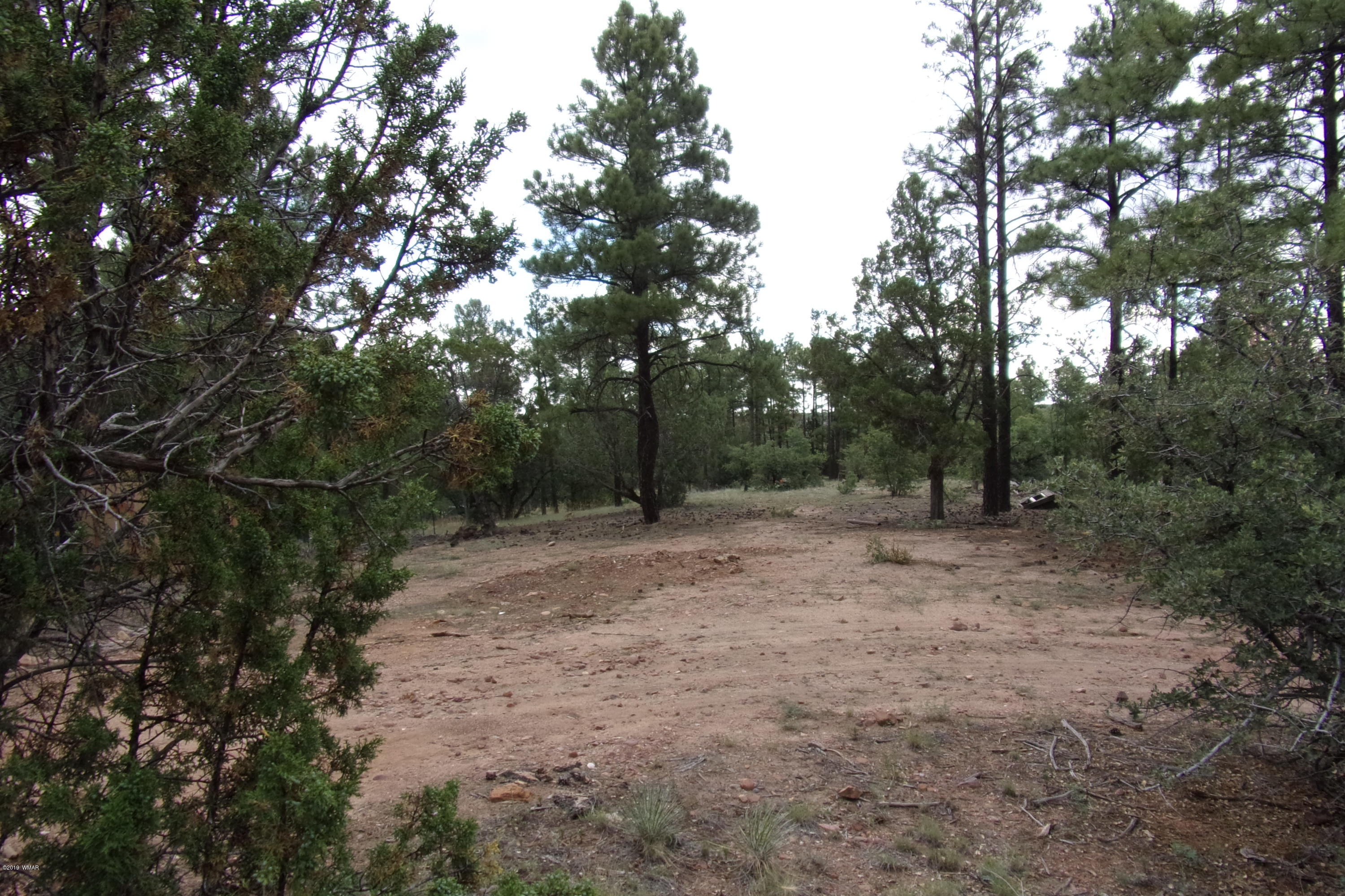 Tbd Tbd Elktrail Show Low, AZ 85901 - Photo 16 of 16