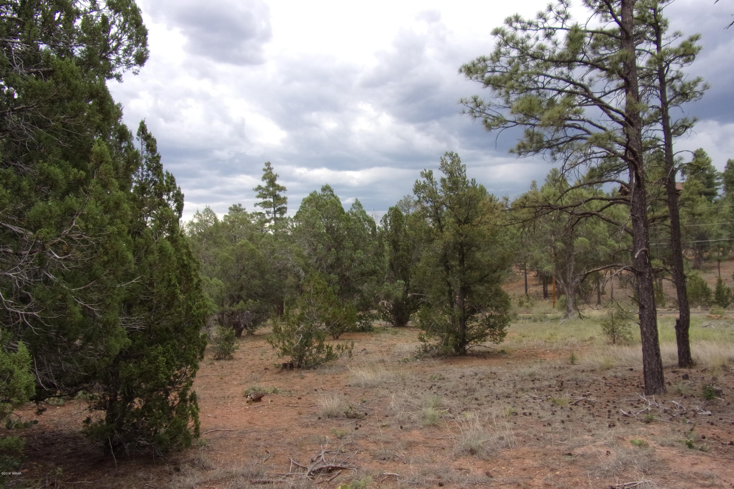 Tbd Tbd Elktrail Show Low, AZ 85901 - Photo 3 of 16
