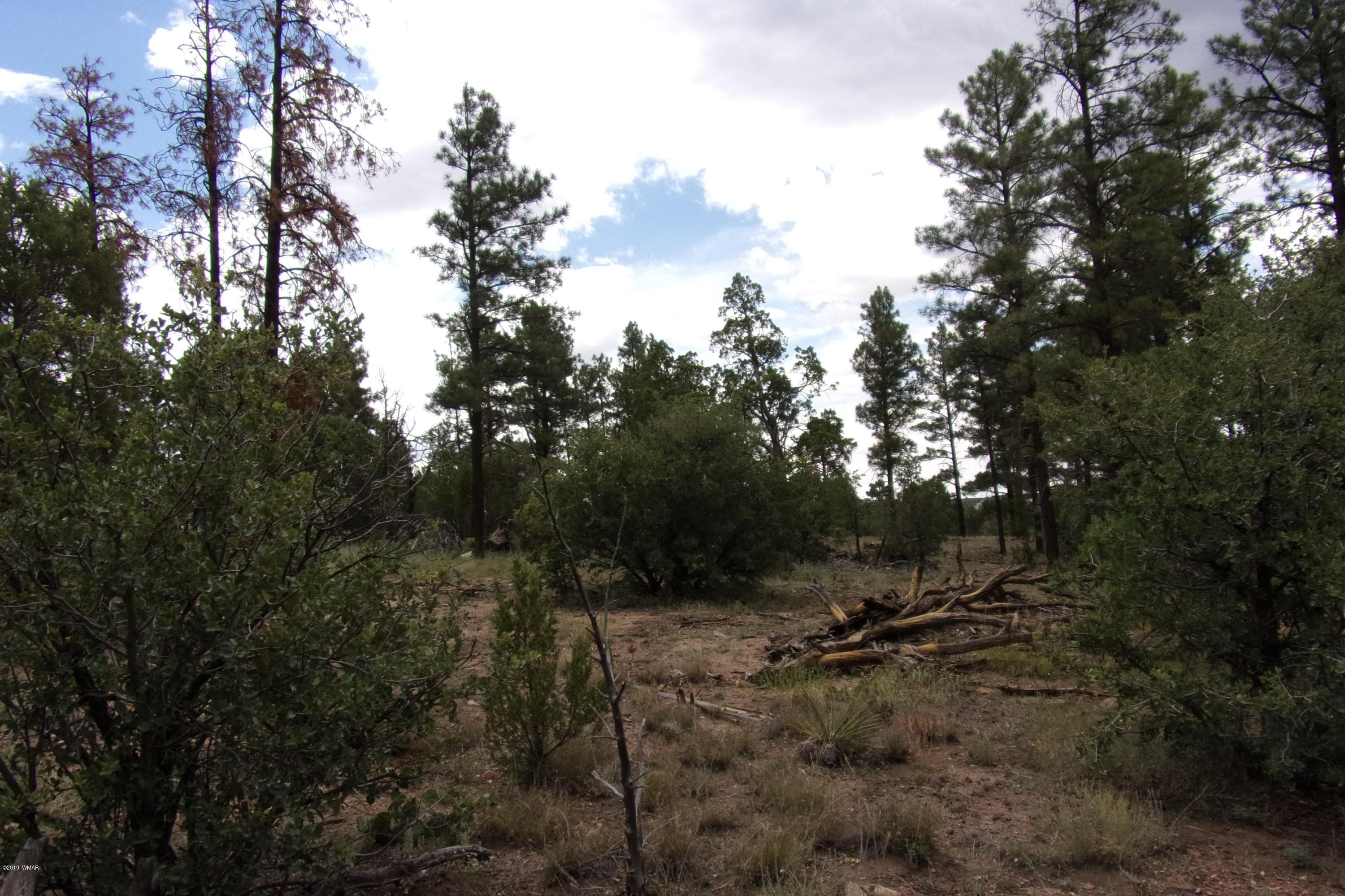 Tbd Tbd Elktrail Show Low, AZ 85901 - Photo 4 of 16