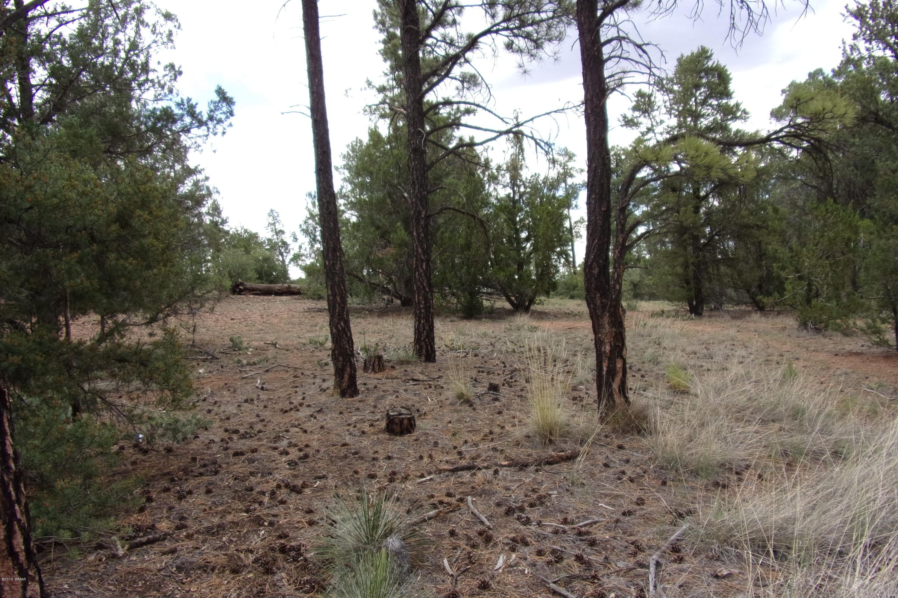 Tbd Tbd Elktrail Show Low, AZ 85901 - Photo 5 of 16