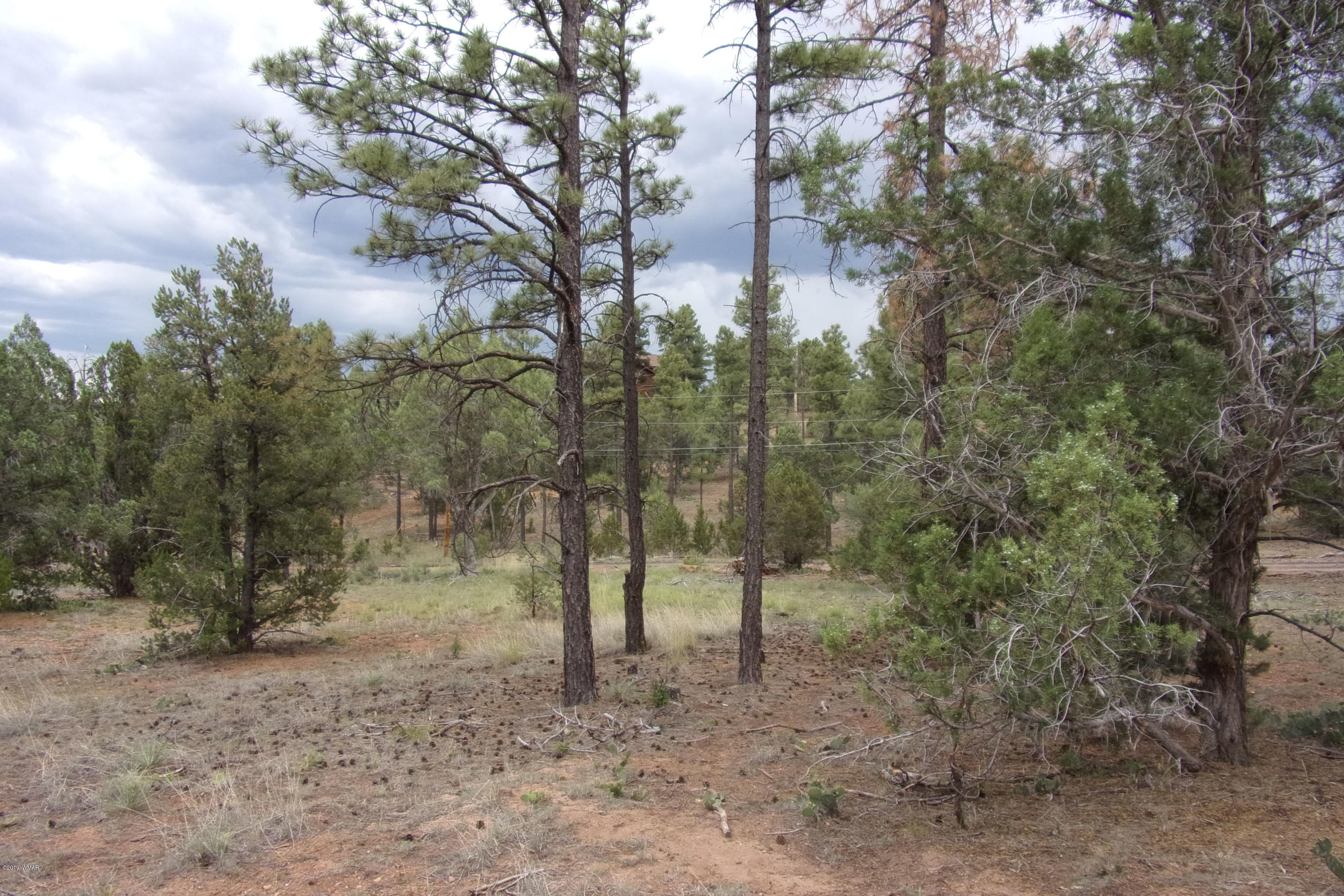 Tbd Tbd Elktrail Show Low, AZ 85901 - Photo 6 of 16