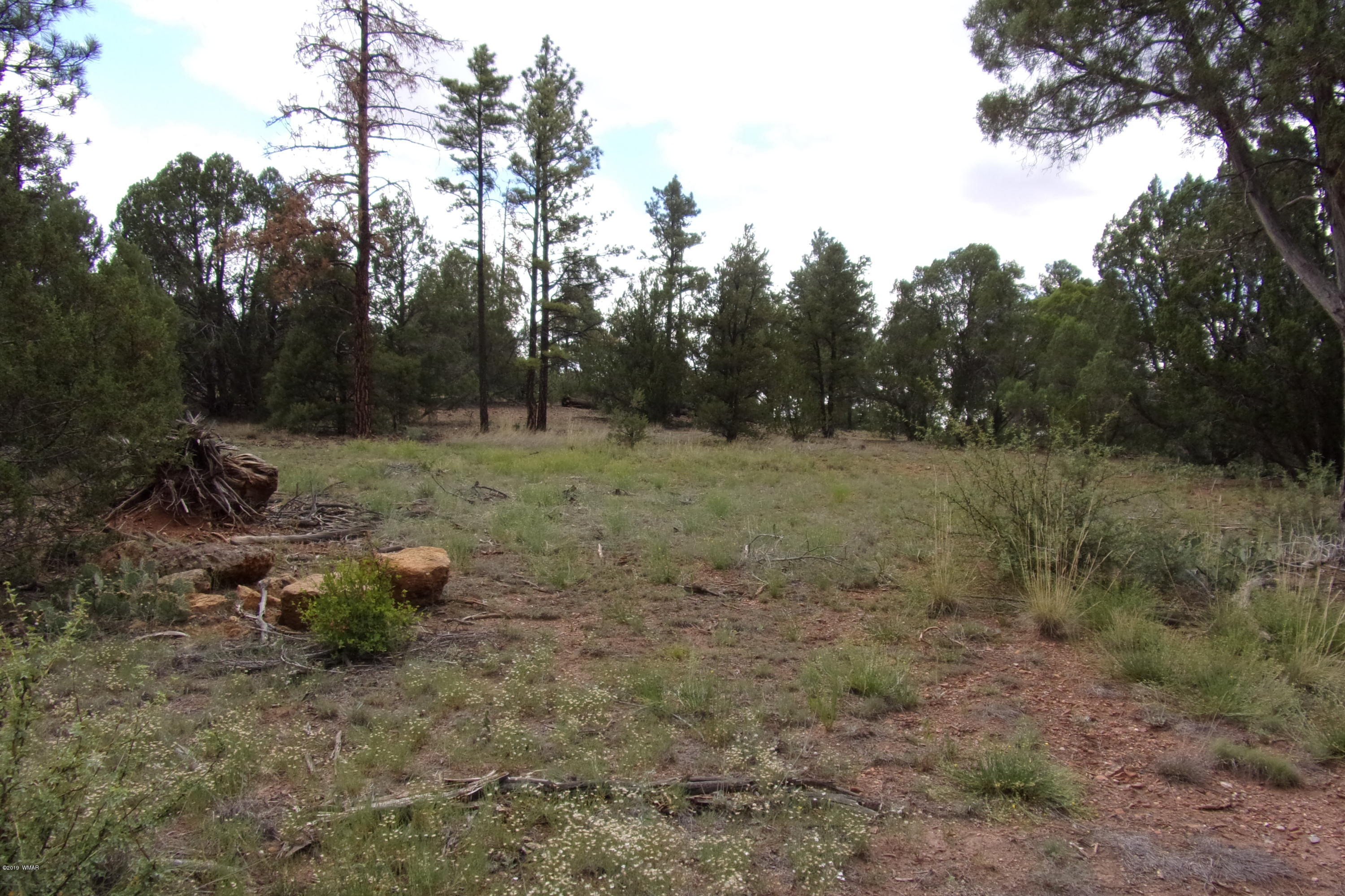 Tbd Tbd Elktrail Show Low, AZ 85901 - Photo 7 of 16