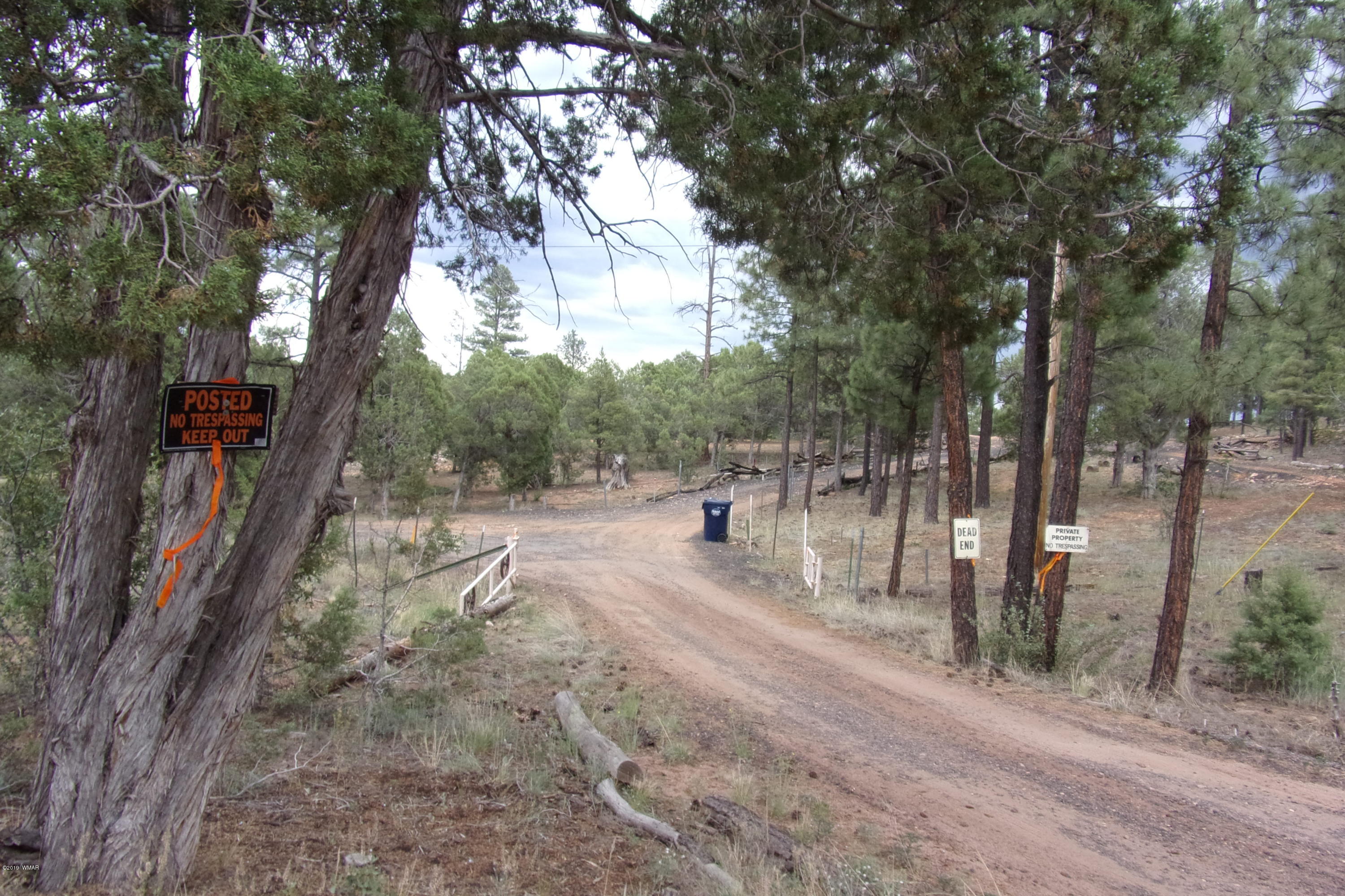 Tbd Tbd Elktrail Show Low, AZ 85901 - Photo 8 of 16