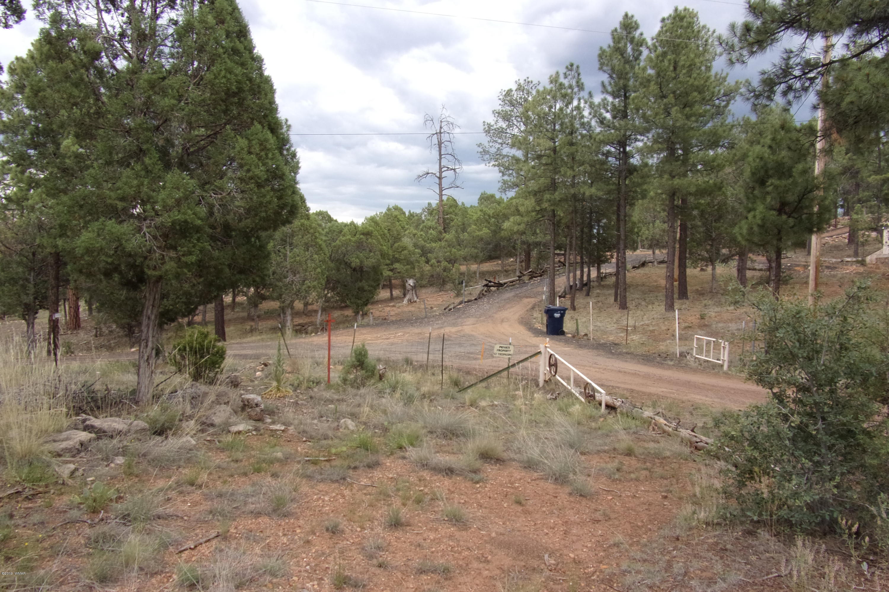 Tbd Tbd Elktrail Show Low, AZ 85901 - Photo 9 of 16