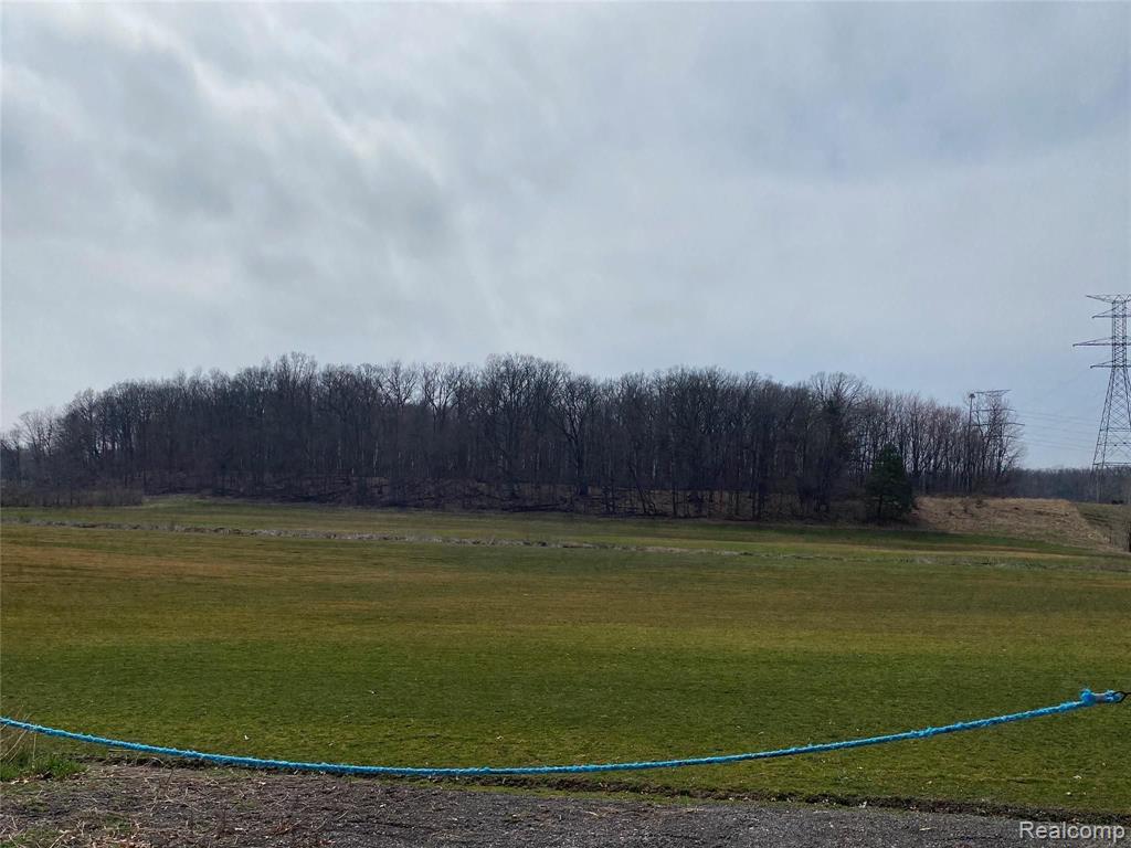 0 South Henderson Road Davison, MI 48423 - Photo 4 of 4