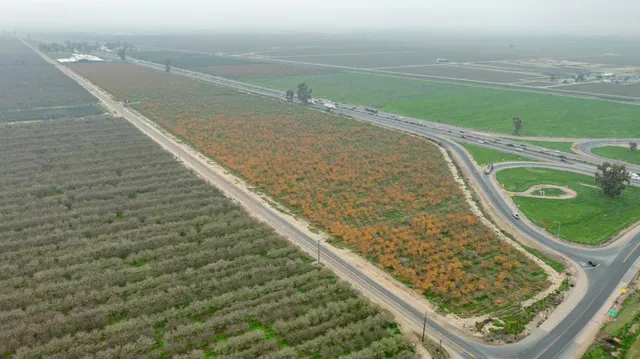 $7,038,850 | 0 Hwy 99 & Ave 184, Tulare, CA 93274