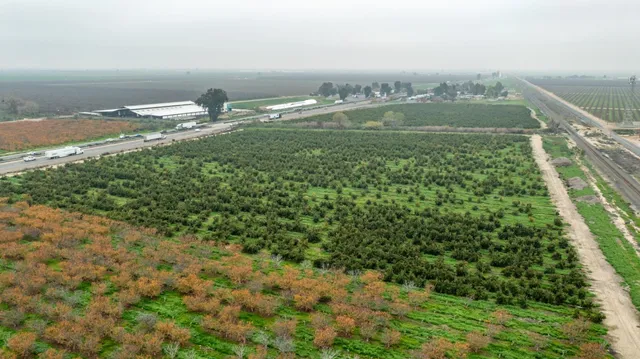 $7,038,850 | 0 Hwy 99 & Ave 184, Tulare, CA 93274