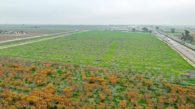 $7,038,850 | 0 Hwy 99 & Ave 184, Tulare, CA 93274