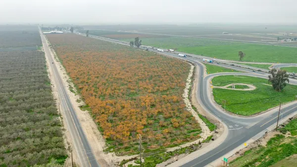 a view of a field with an ocean