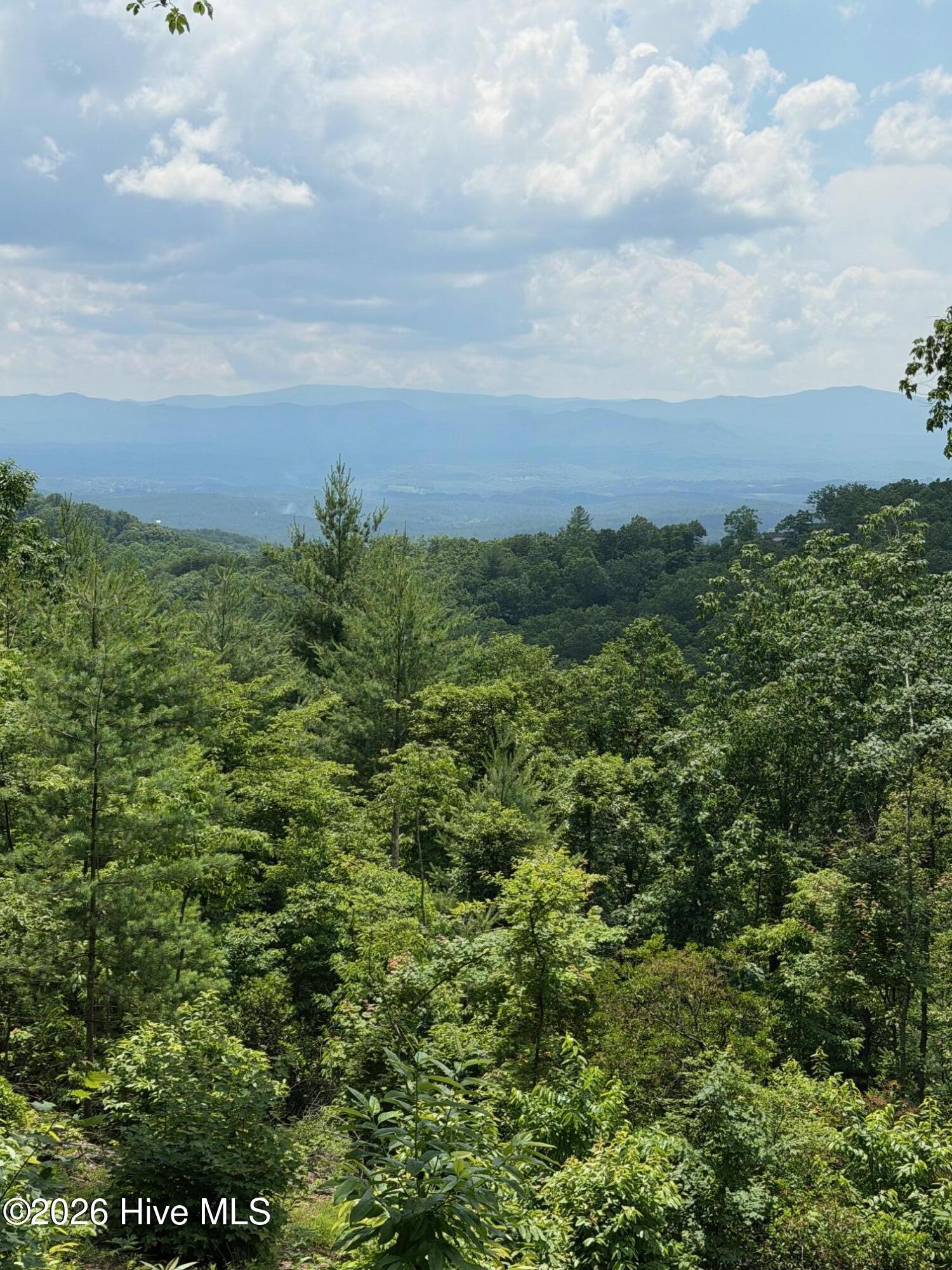 340 Lazy Country Cv Road Murphy, NC 28906 - Photo 1 of 5