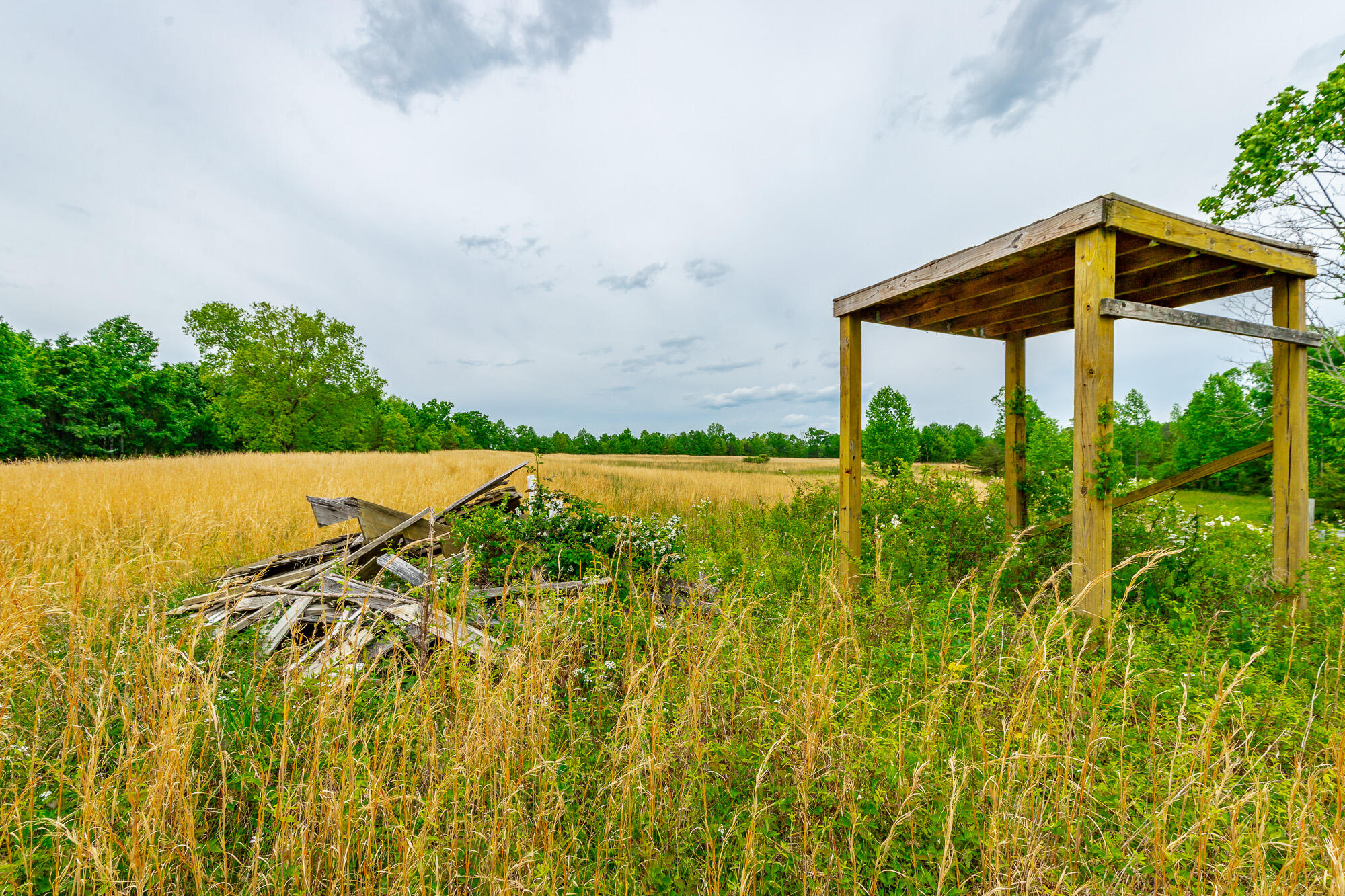 0 Ray Gadd Road Graysville, TN 37338 - Photo 76 of 109 Ray Gadd Road Lot HD-21
