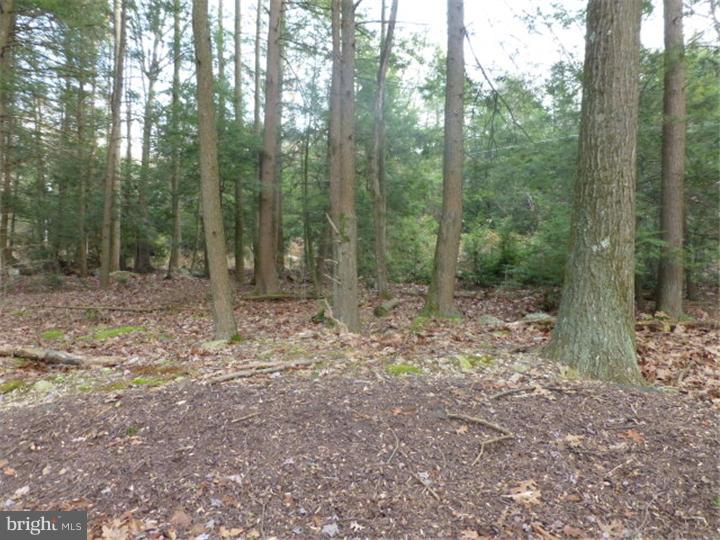 36 Turnpike Road Ashland, PA 17921 - Photo 16 of 17 Back Yard