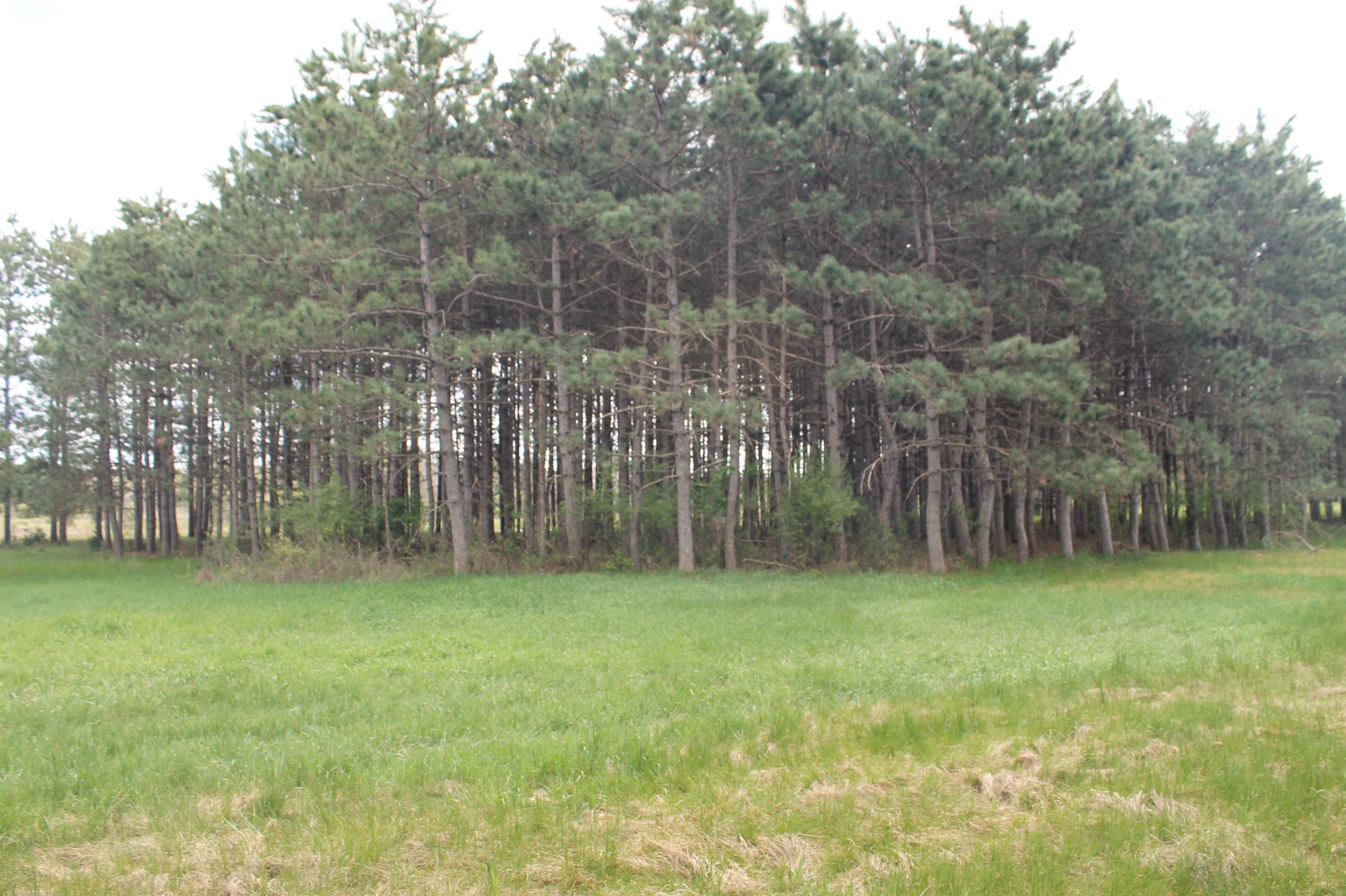 8th Road, Unit 1 Westfield, WI 53964 - Photo 3 of 18