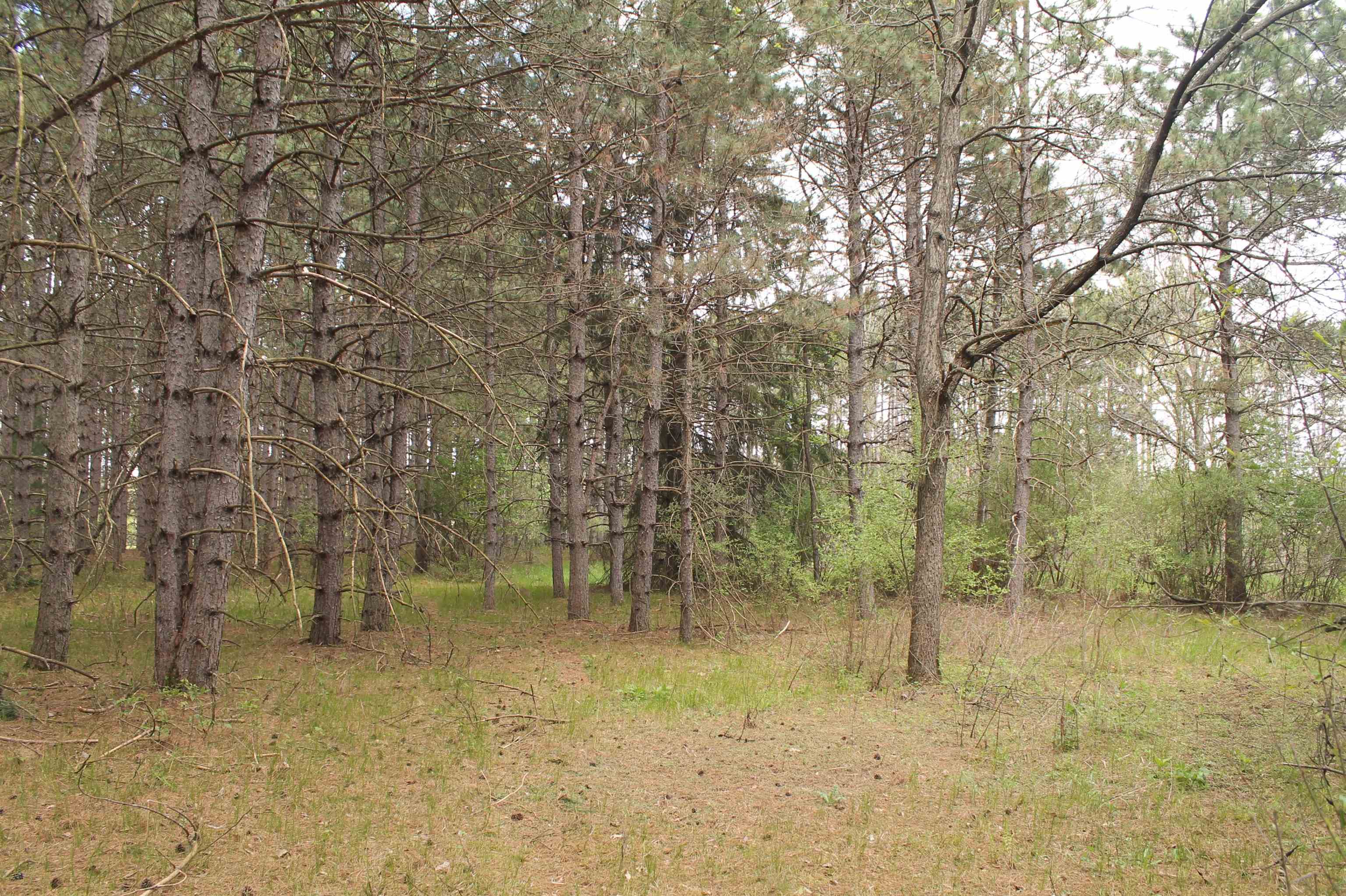 8th Road, Unit 1 Westfield, WI 53964 - Photo 6 of 18