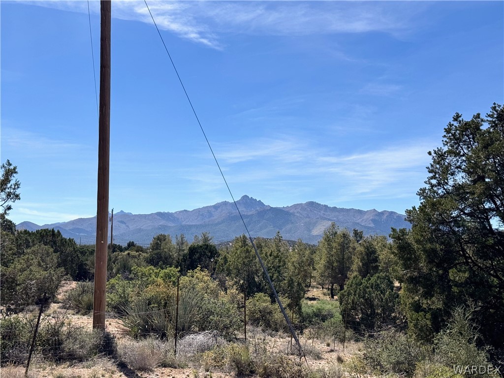 1575 South Roy Road Kingman, AZ 86401 - Photo 52 of 56 The property offers expansive mountain views and natural landscaping with various trees and brush
