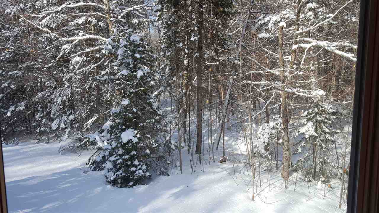 327 Bluebrook Road West Dover, VT 05356 - Photo 31 of 32