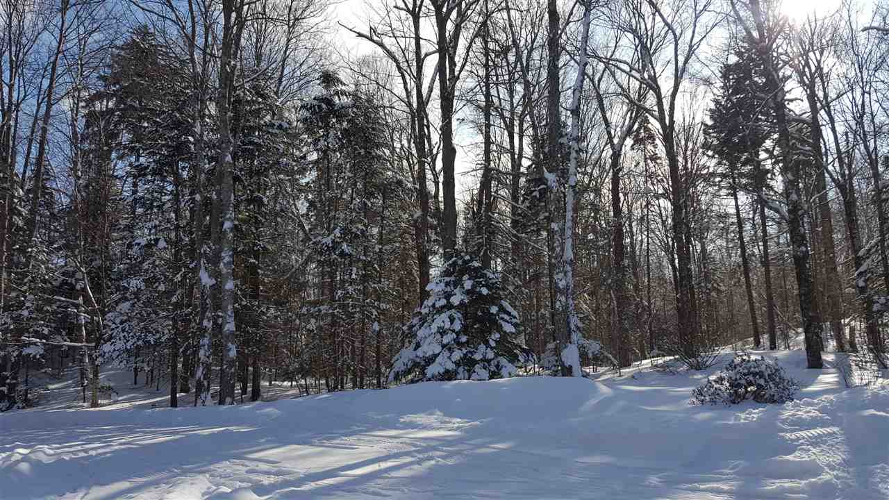 327 Bluebrook Road West Dover, VT 05356 - Photo 32 of 32