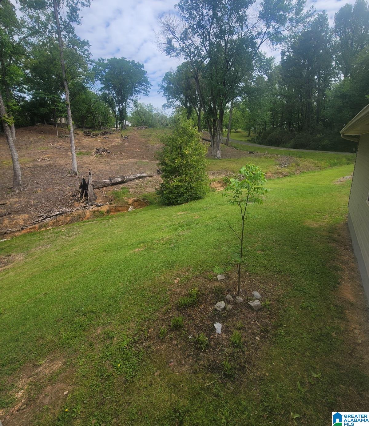 263 Reed Street Centreville, AL 35042 - Photo 25 of 30
