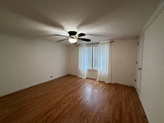 a view of back yard of the house